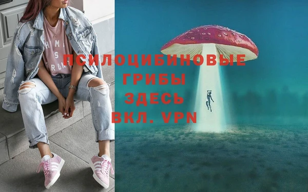 мет Михайловск