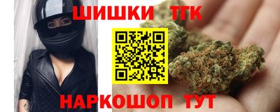 мдпв Татарск