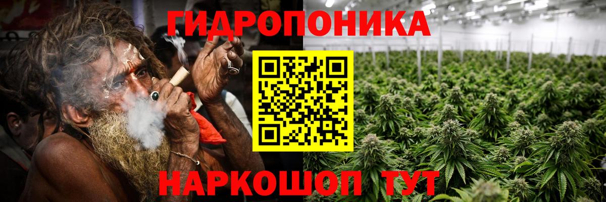 Каннабис семена Фролово